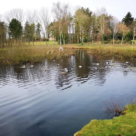 6 Person In Oksbol-by Traum 別荘 *